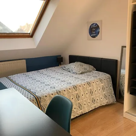 Appartement Duplex Du Lion à Belfort Extérieur photo
