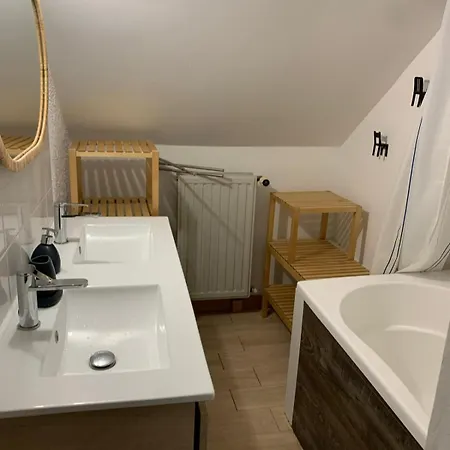 Appartement Duplex Du Lion à Belfort Extérieur photo