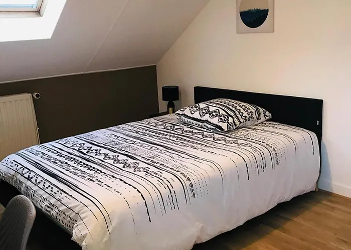 Duplex Du Lion